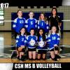 vball-team--2018a